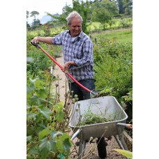 Autumn in the Polytunnel with Klaus Laitenberger - Saturday 9th September 2023
